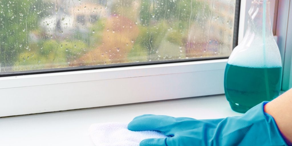 Cleaning Windowsills Is Crucial for Eliminating Mold at Home